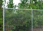 Chain Link Fence Gallery