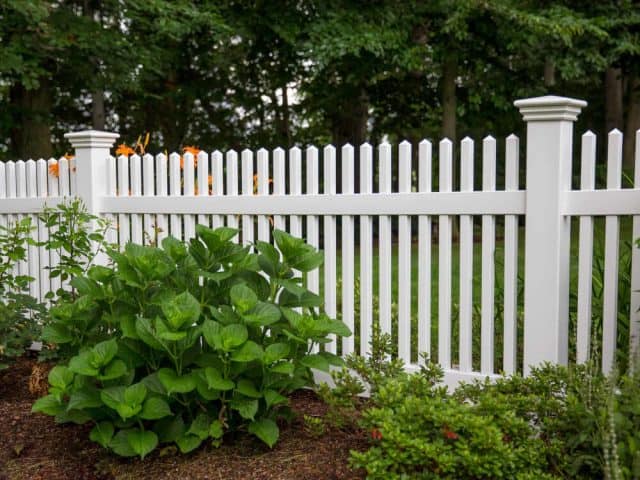 Dog Fence 3