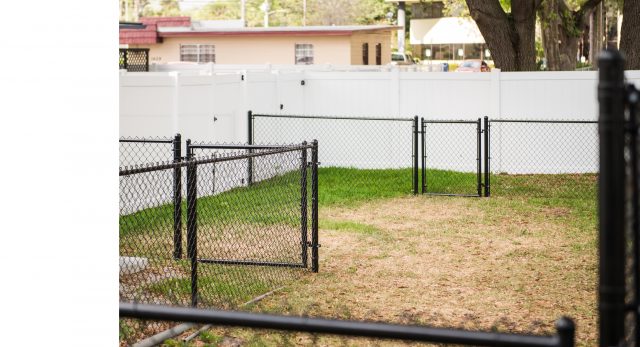 black vinyl coated chain link fence