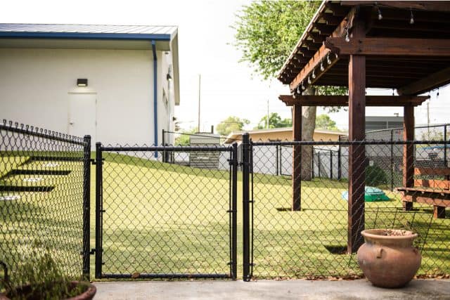 black vinyl coated chain link fence