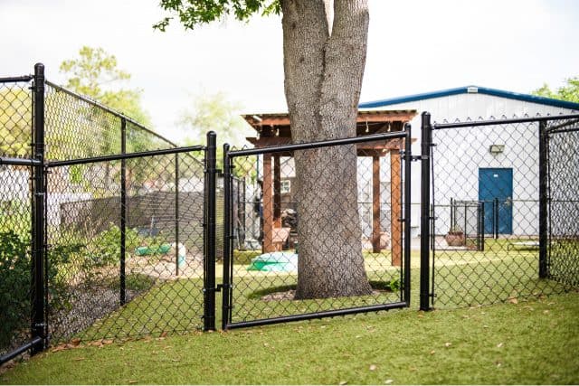 black vinyl coated chain link fence