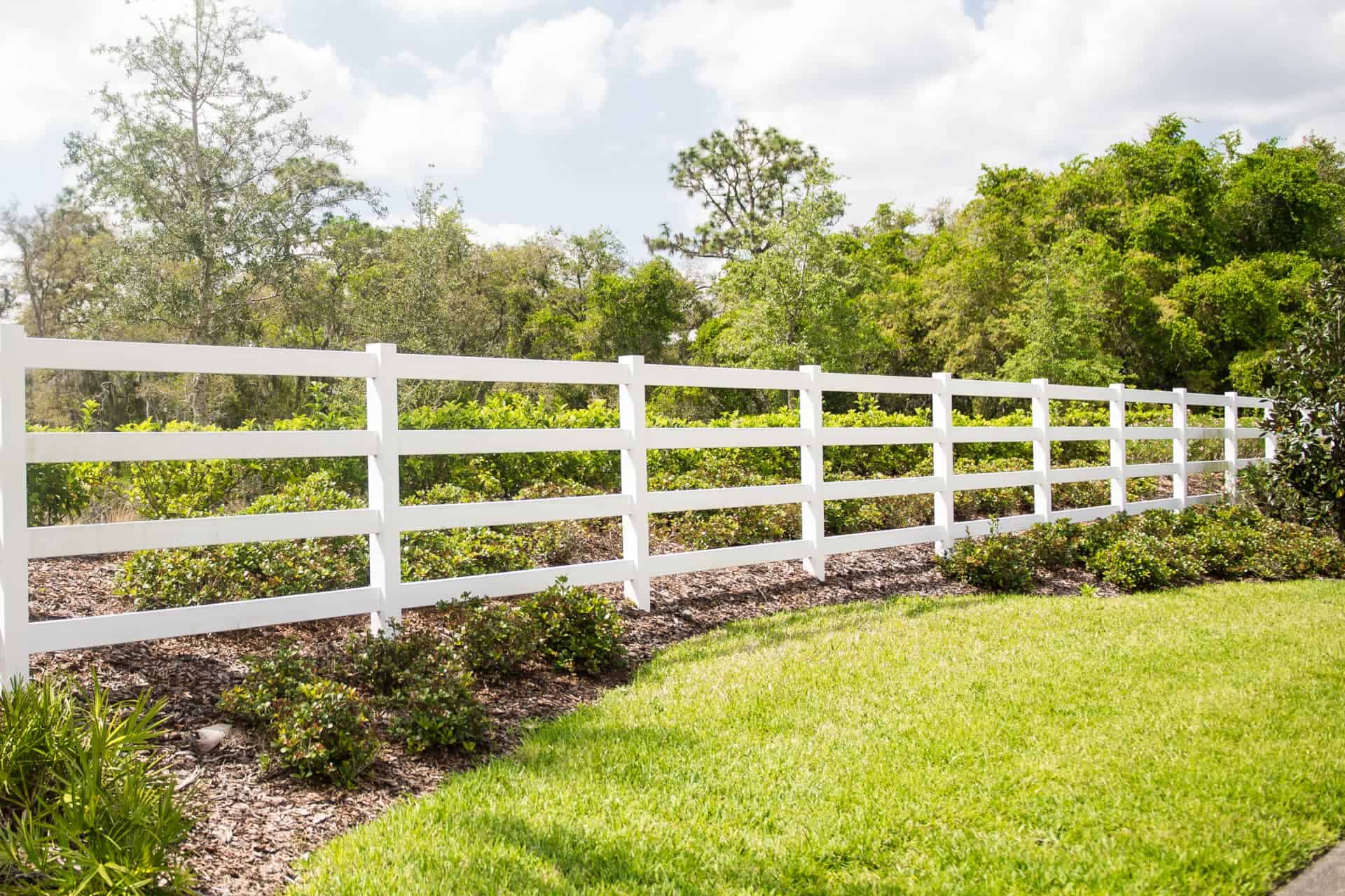 Palmetto fence white fence