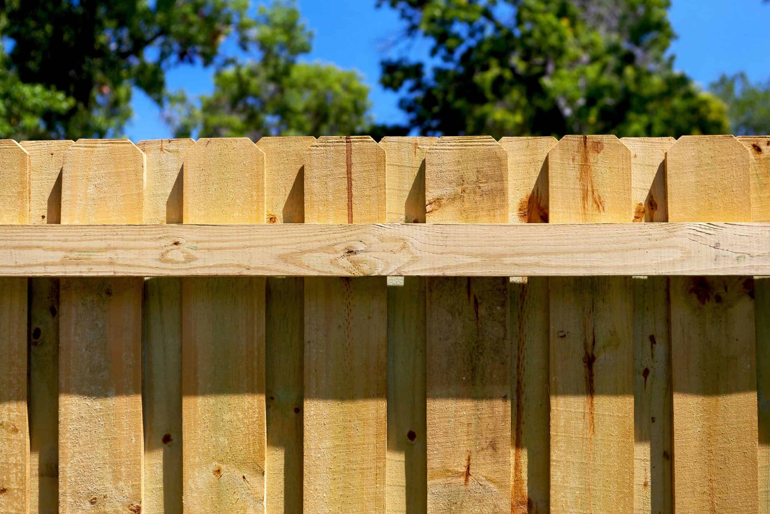 when can i stain my wood fence