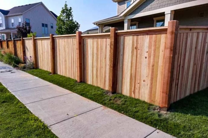 Cedar fence