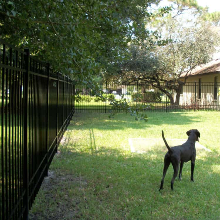 https://www.superiorfenceandrail.com/wp-content/uploads/2022/11/Arkansas-Dog-Fence.jpg