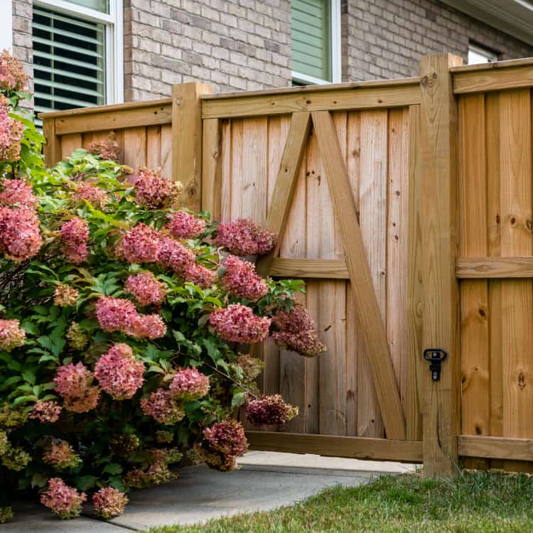 Minneapolis fence company wood fence with gate