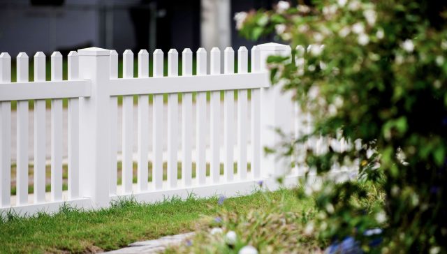 How Big of a St. Augustine Dog Fence Do You Need?