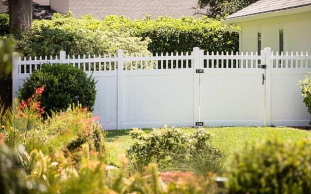 privacy fence ideas 