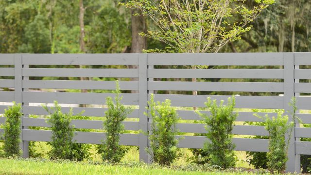 painting a fence