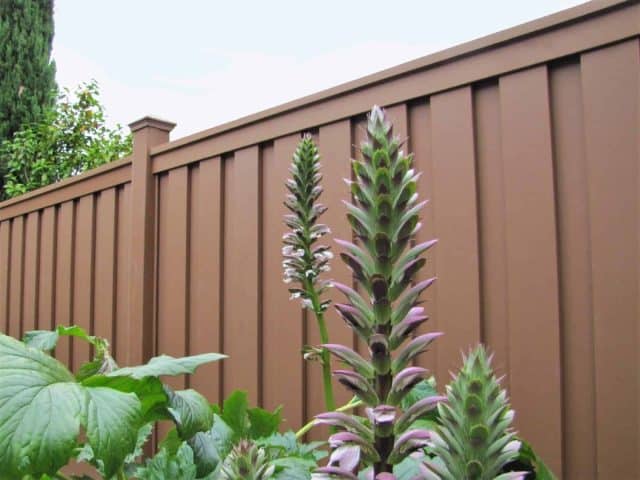 trending fence colors 