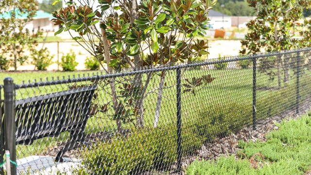 chain link perimeter fence