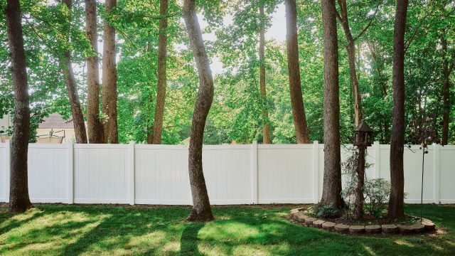 Which Are the Best Fence Companies in Blue Springs?