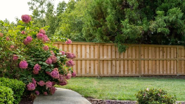 orlando shadowbox fences