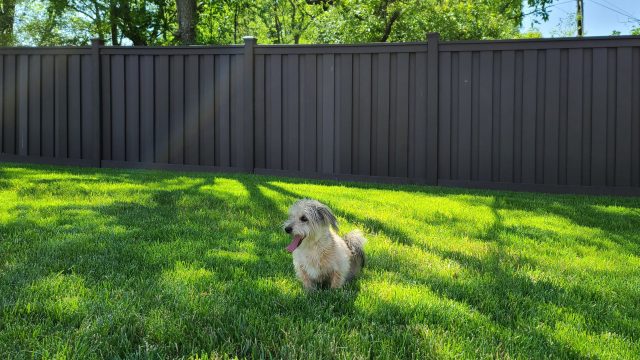 If you’re looking for a Westfield fence company that can provide you with a gorgeous Trex fence, just call Superior Fence & Rail. 