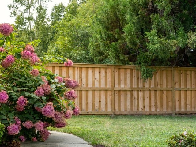Choosing The Best Fence Company Cape Coral for Home Gardens