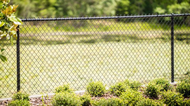 chain link fence company 