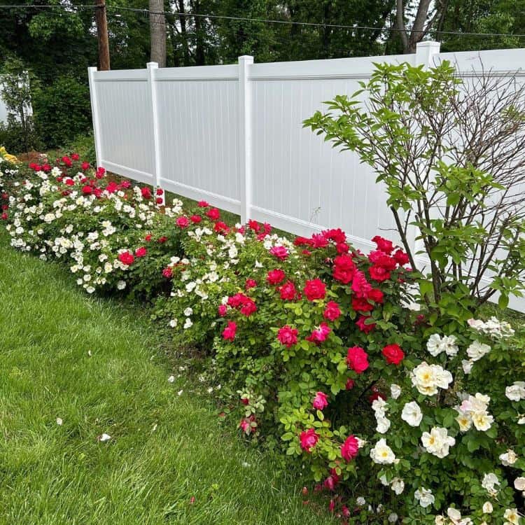 Orange Fence Co. Vinyl Fencing Contractors (750 x 750 px) Finding Orange Fence Co. Orange CT