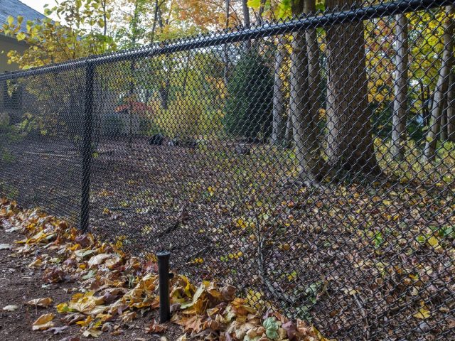 The Best Looking Chain Link Fences In Springfield MO