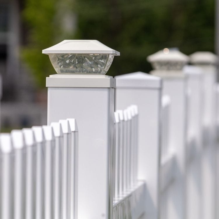 Hamilton fencing