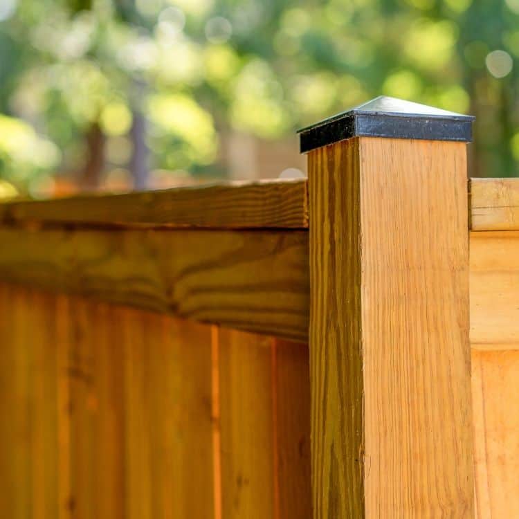 Cedar fence