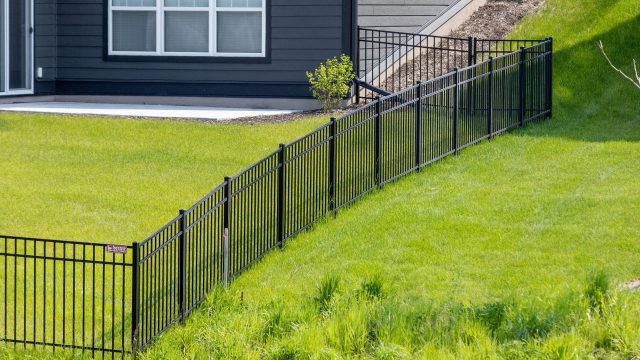 Puppy Picket fences