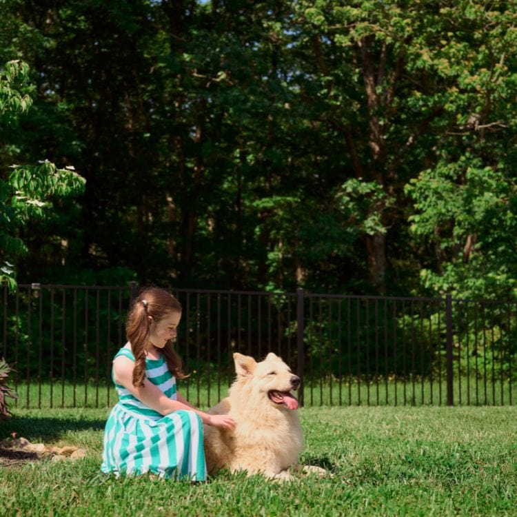 West Chester fence company Your West Chester Fence Authority is Superior Fence And Rail