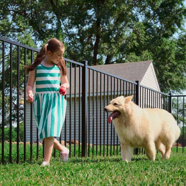 dog aluminum fence Puppy Picket fences