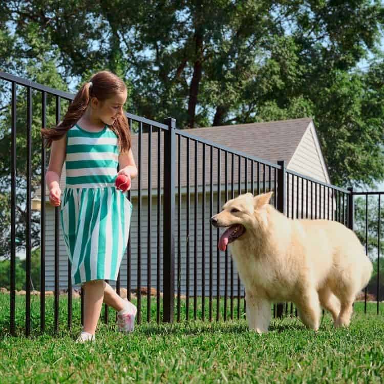 Davie fence company Davie fence company