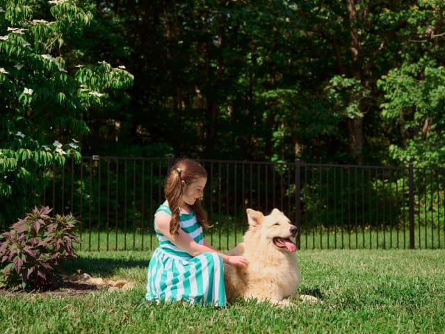The Cost of Fence Installation Near Me In 2025