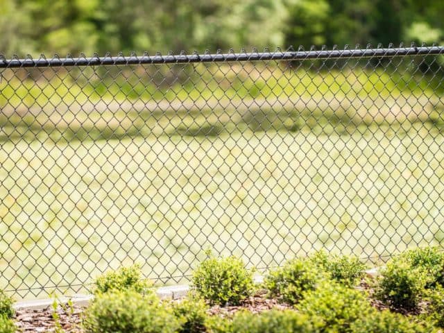 What Does A Frost Fence Cost? What Is A Frost Fence?