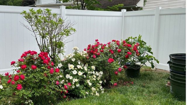 Your South Jersey Vinyl Fence Headquarters Is Superior Fence & Rail