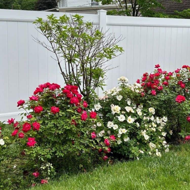 local fence contractors Remove term: Finding the right local fence company Finding the right local fence company